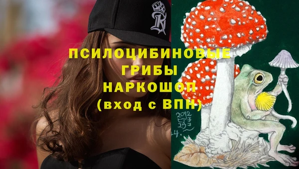 молекула духа Абинск