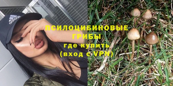 молекула духа Абинск