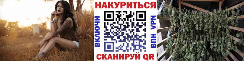 Шишки марихуана конопля Нестеровская
